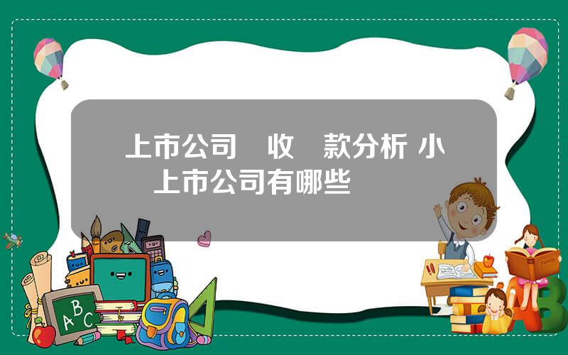 上市公司應收賬款分析 小衆上市公司有哪些